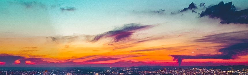 钟祥茶虫网_钟祥品茶